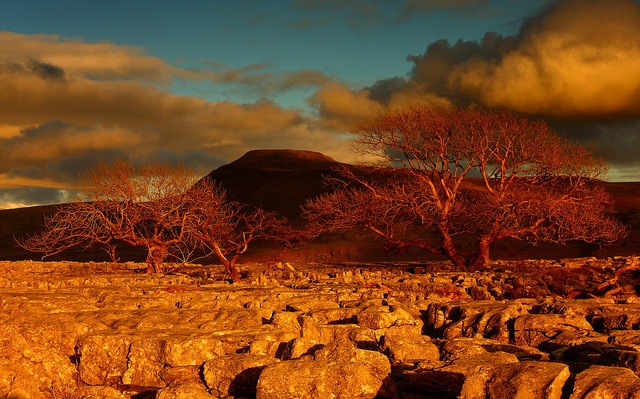 10landscape