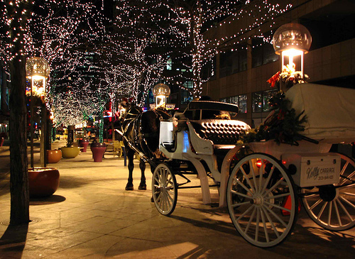 Frosty winter city street