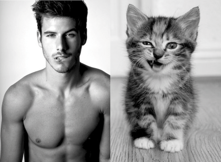Cute kitten versus handsome model