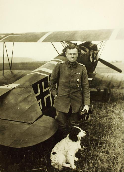 war-animals31