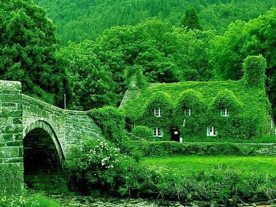 fairytale-cottages-england