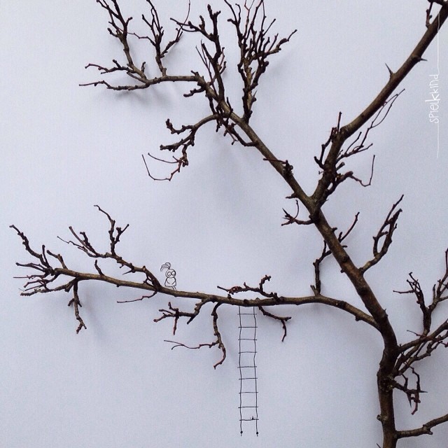 Kerstin Hiestermann nature doodle