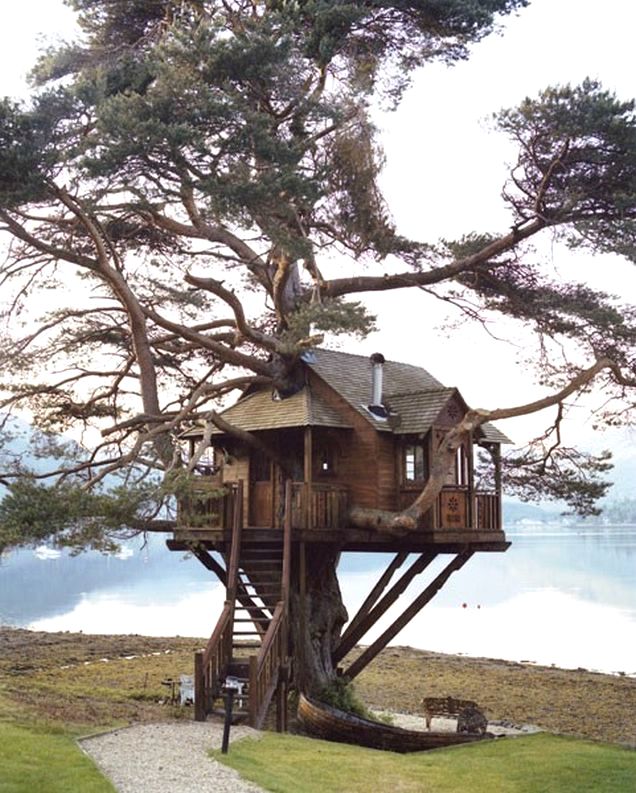 Wooden tree house in a forest setting