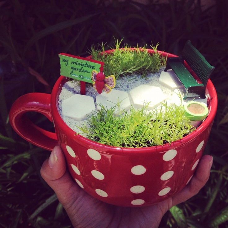 Tabletop miniature garden