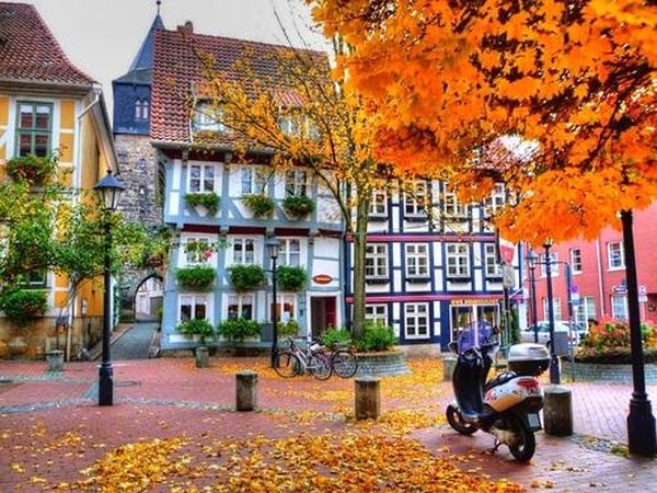 Fall foliage photography