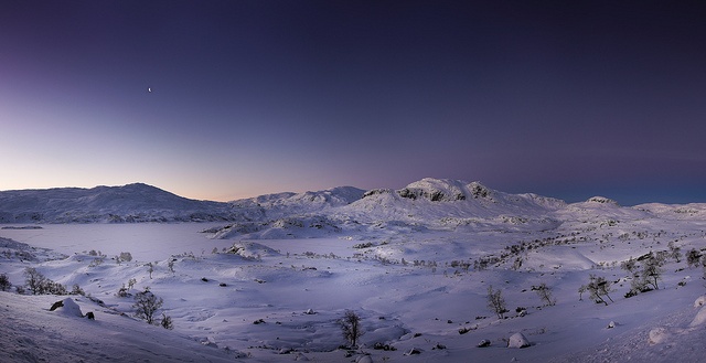 landscape05105