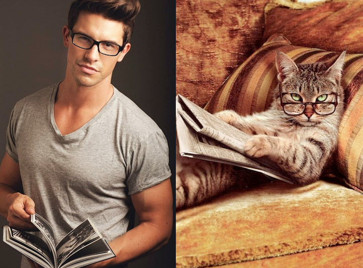 Men and cats gallery pair