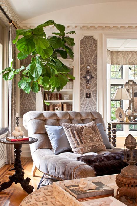 Luxury chaise lounge idea