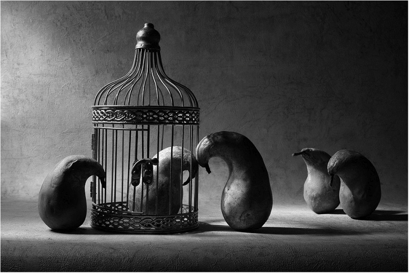 Victoria Ivanova fine art still