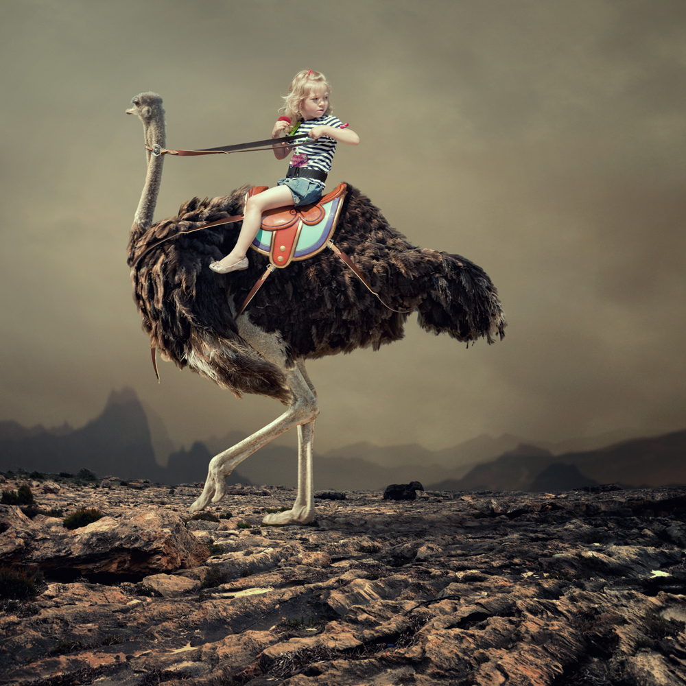 Caras Ionut photo manipulation finale