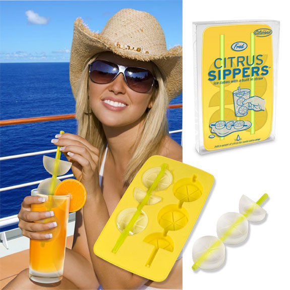 creative-ice-cubes4 Citrus Sippers ice cubes frozen onto reusable straws