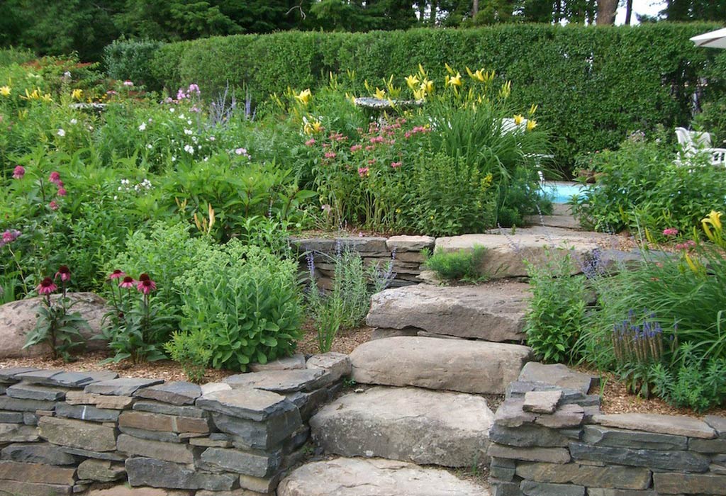Stone path and garden planting