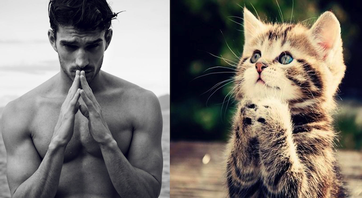 Men and cats comparison photo