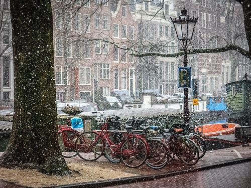 Snowy Amsterdam street and canal