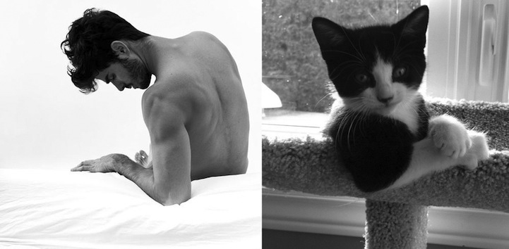 Handsome man kitten comparison
