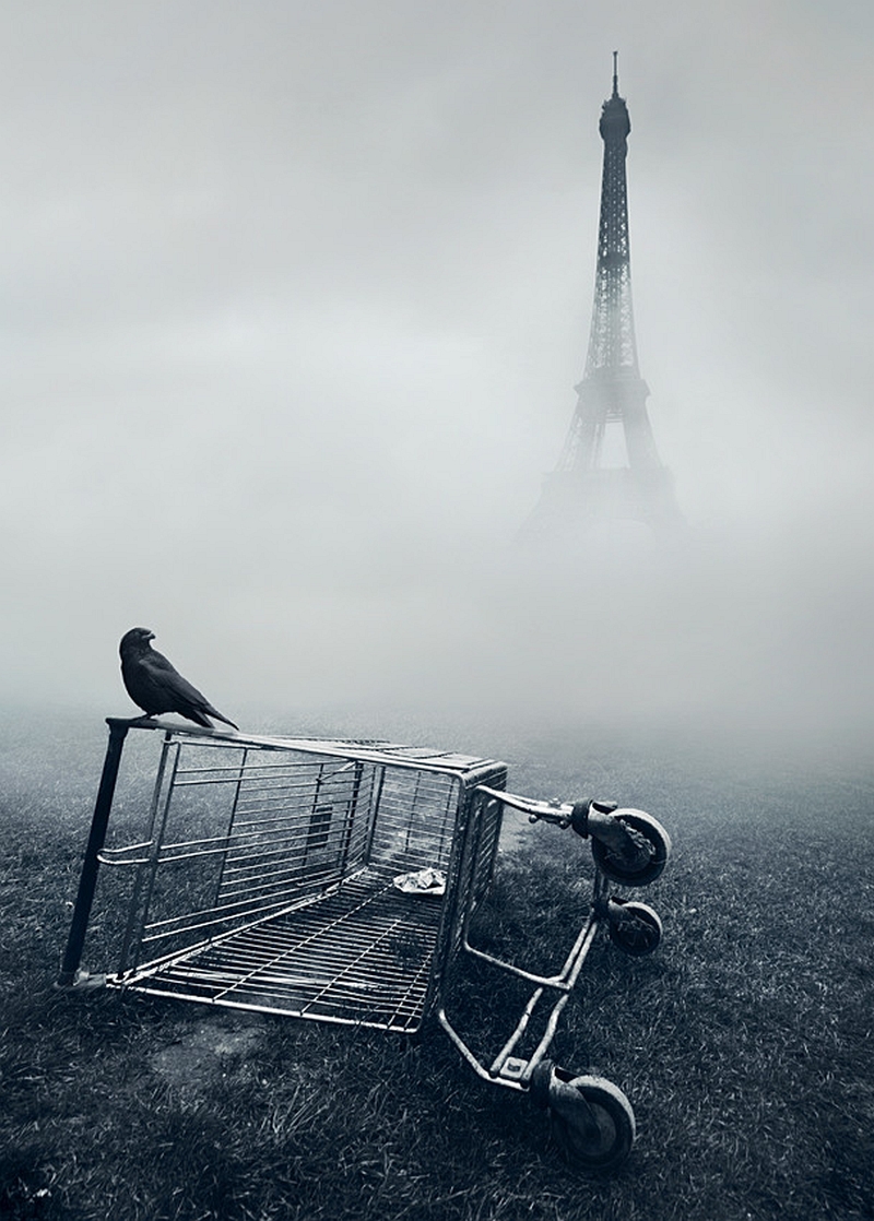 Black-and-white misty Eiffel Tower with overturned shopping cart and perched bird