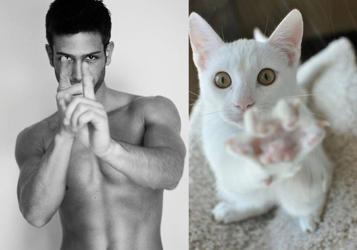 Model and kitten matching expressions
