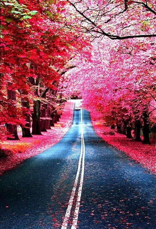 burgundy-street-madrid