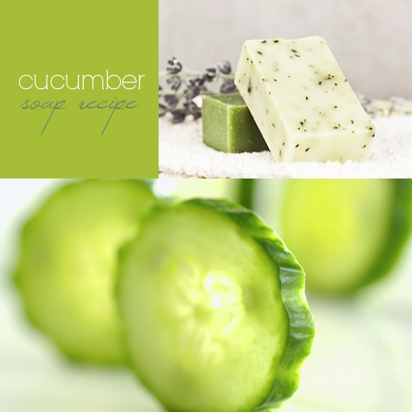 cucumber
