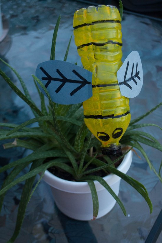 Bottle garden border idea