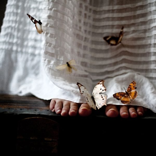 Emmanuelle Brisson butterfly series frame with figure and winged insects