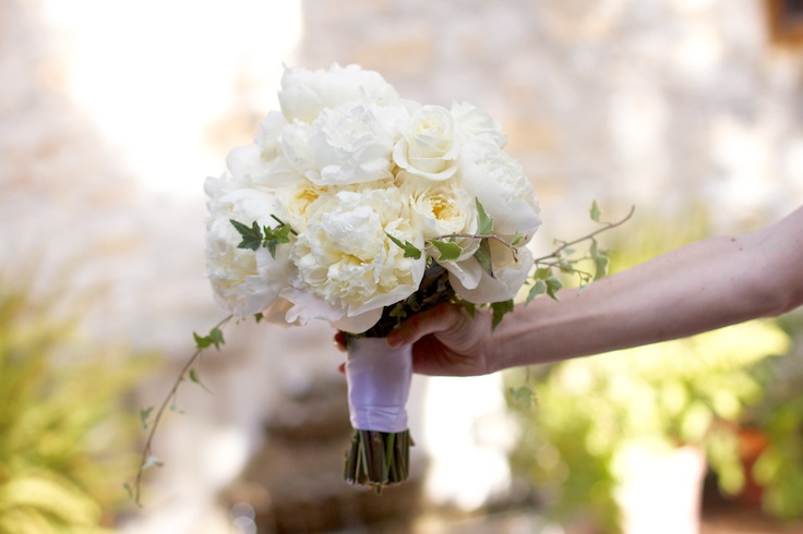 white peony garden roses with ivy bridal bouquet
