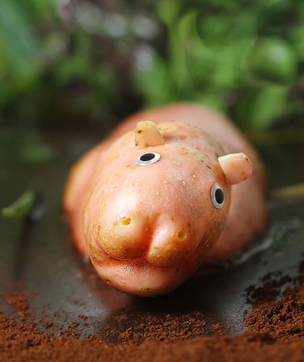 Vanessa Dualib food character still