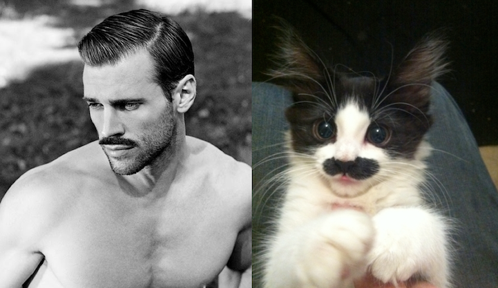 Cute kitten matching male model pose