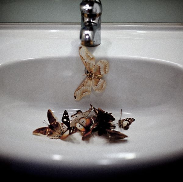 Butterflies clustered near shoulders and hair in Emmanuelle Brisson photograph