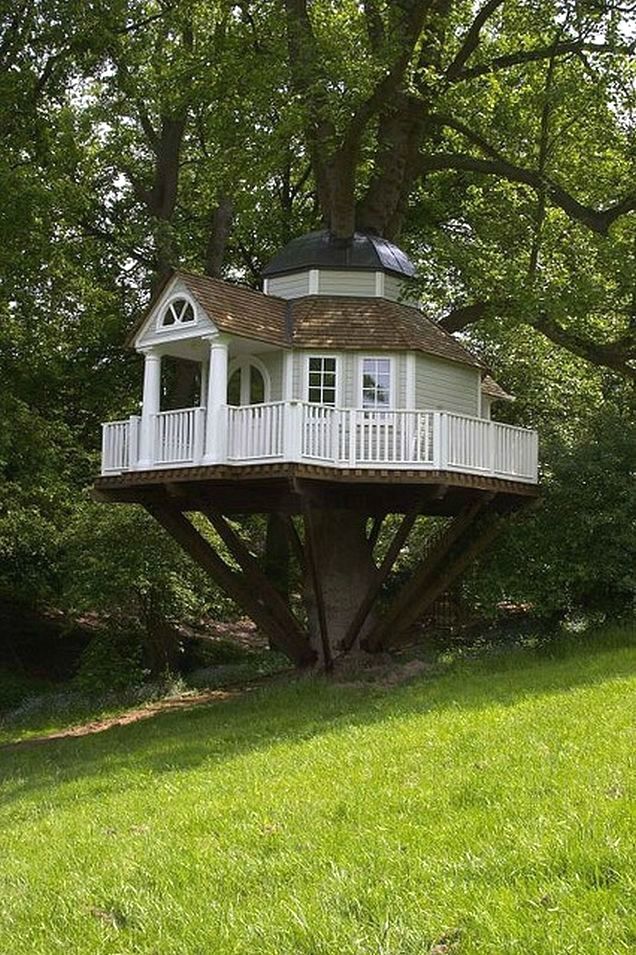 Tall tree house with stair access