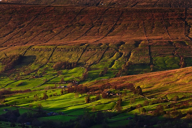 07landscape