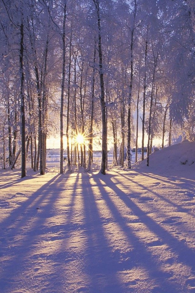 winterscapes21