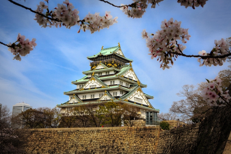 Cherry blossom landscape