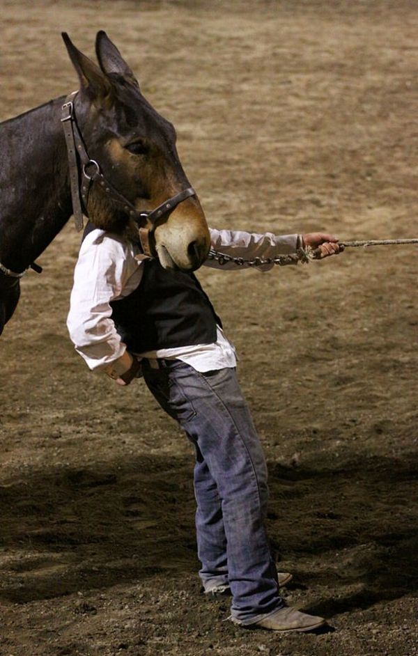 Perfectly timed funny photograph