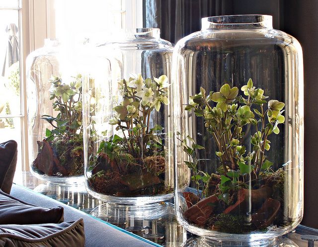 Pebble and moss terrarium detail