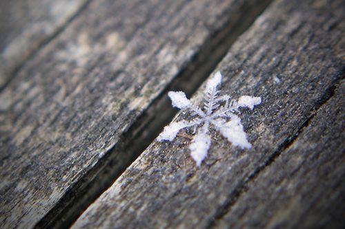 winterscapes07