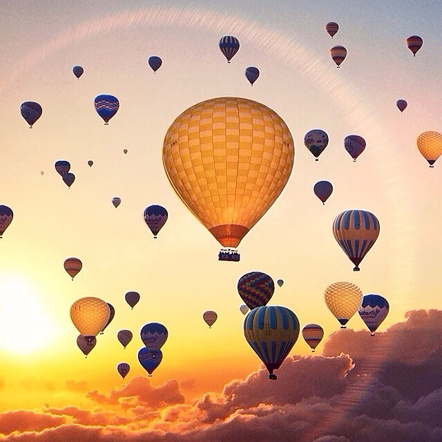If you never chase your dream, you will never catch them.