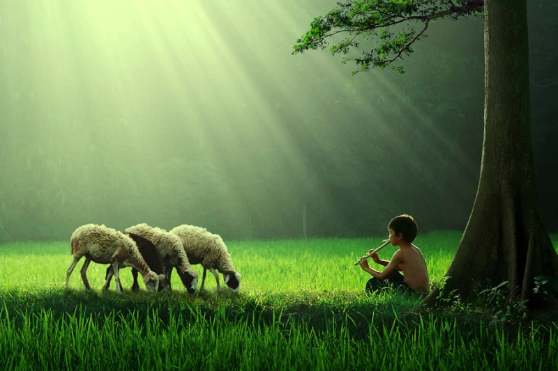 Atmospheric photograph by Sukron Ma’mun