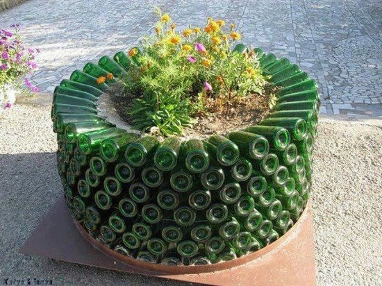 Bottle garden display