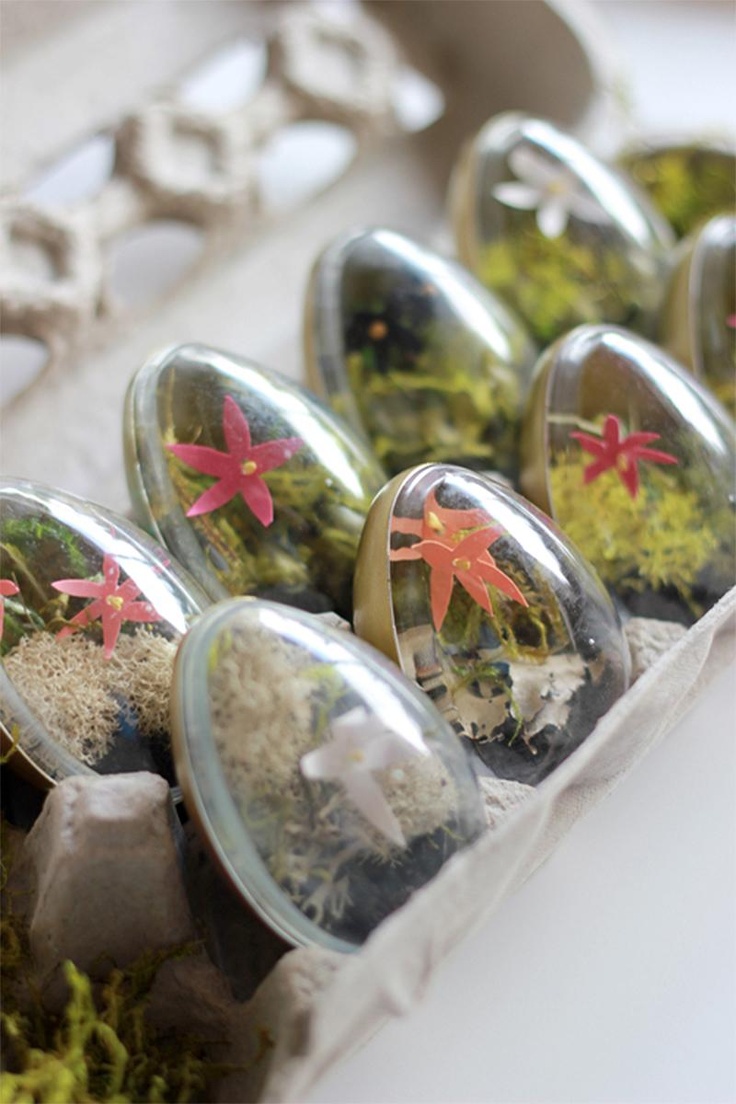 Glass terrarium garden display