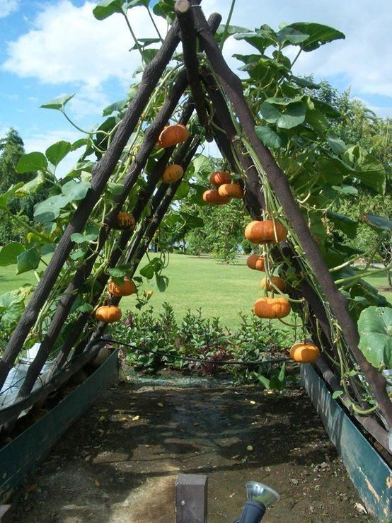 diy-garden12