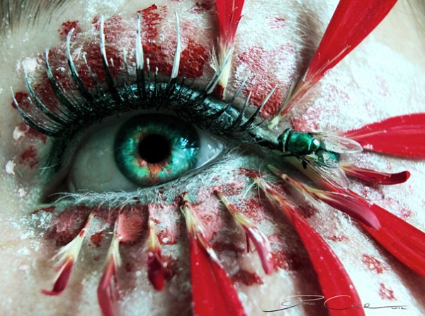 Avant-garde makeup photograph focusing on lid and lash detail
