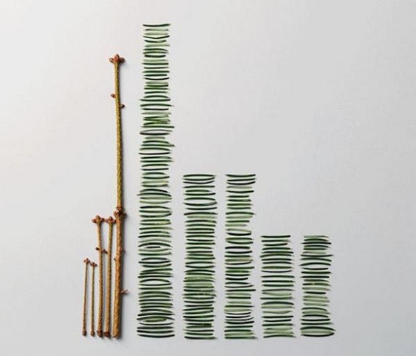 Organized everyday scene from The Art of Clean Up by Ursus Wehrli