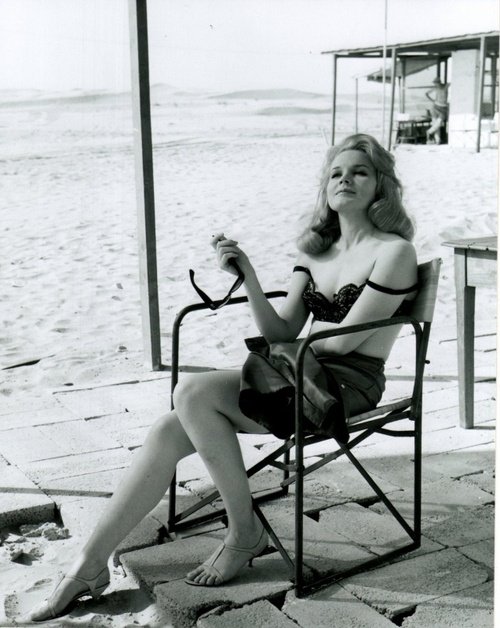Classic beach summer frame