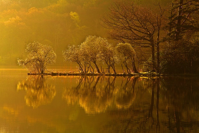 05landscape