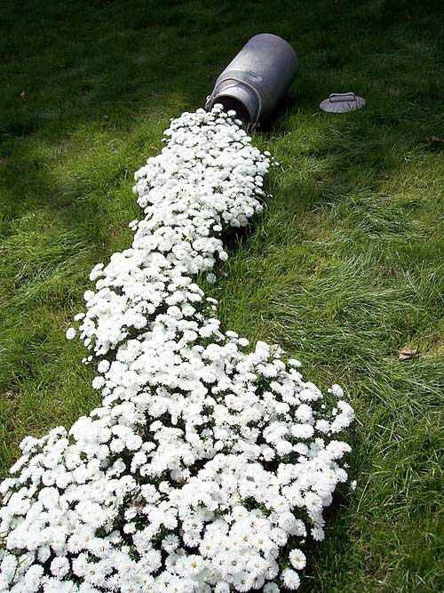 diy-garden16