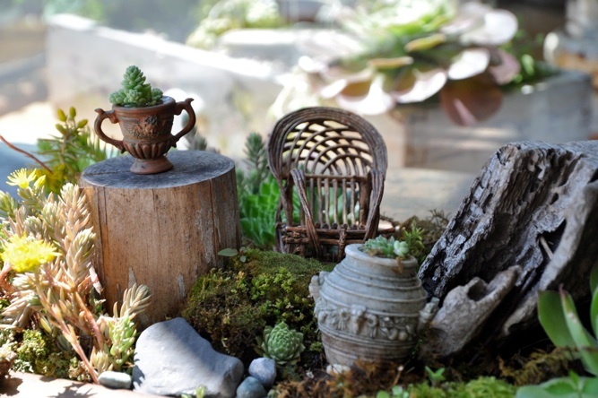 Planted miniature garden dish