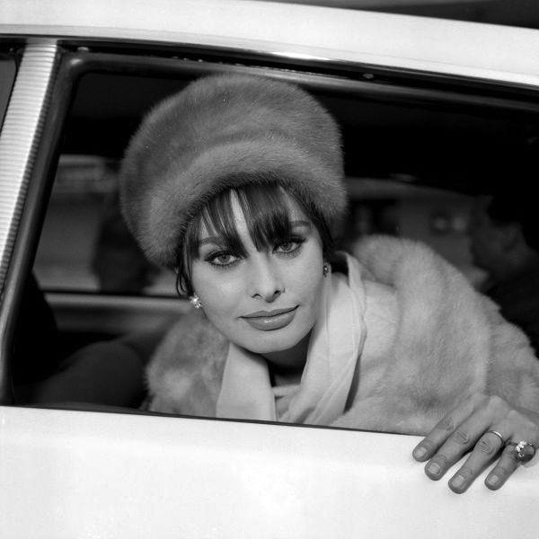 Sophia Loren