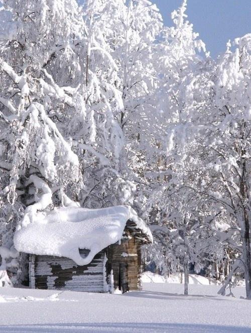 winterscapes28