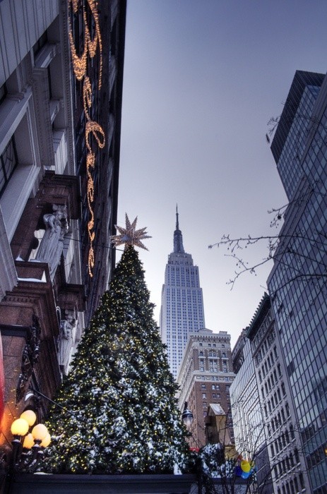 New York architectural cityscape